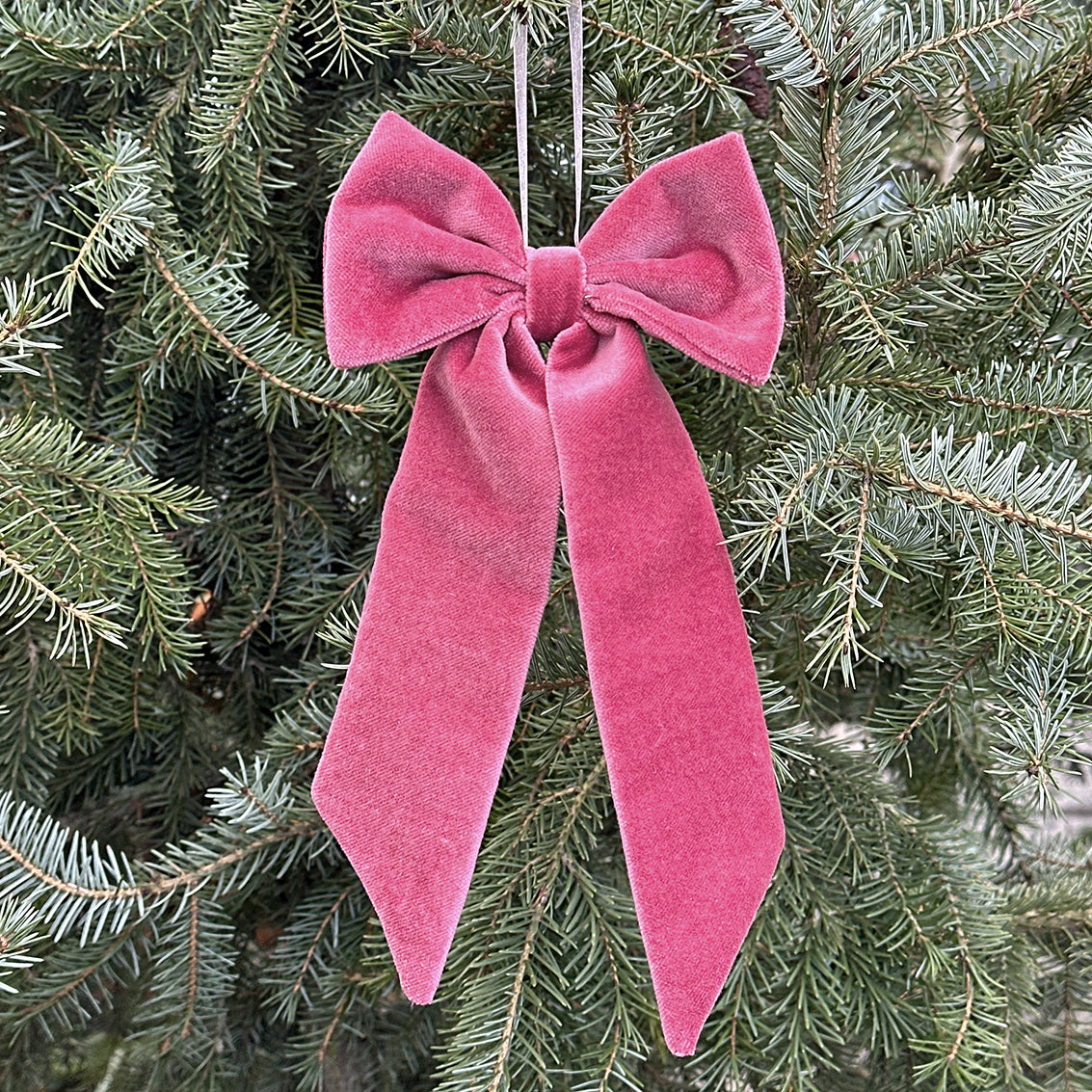 Velvet Bow - Rosewood