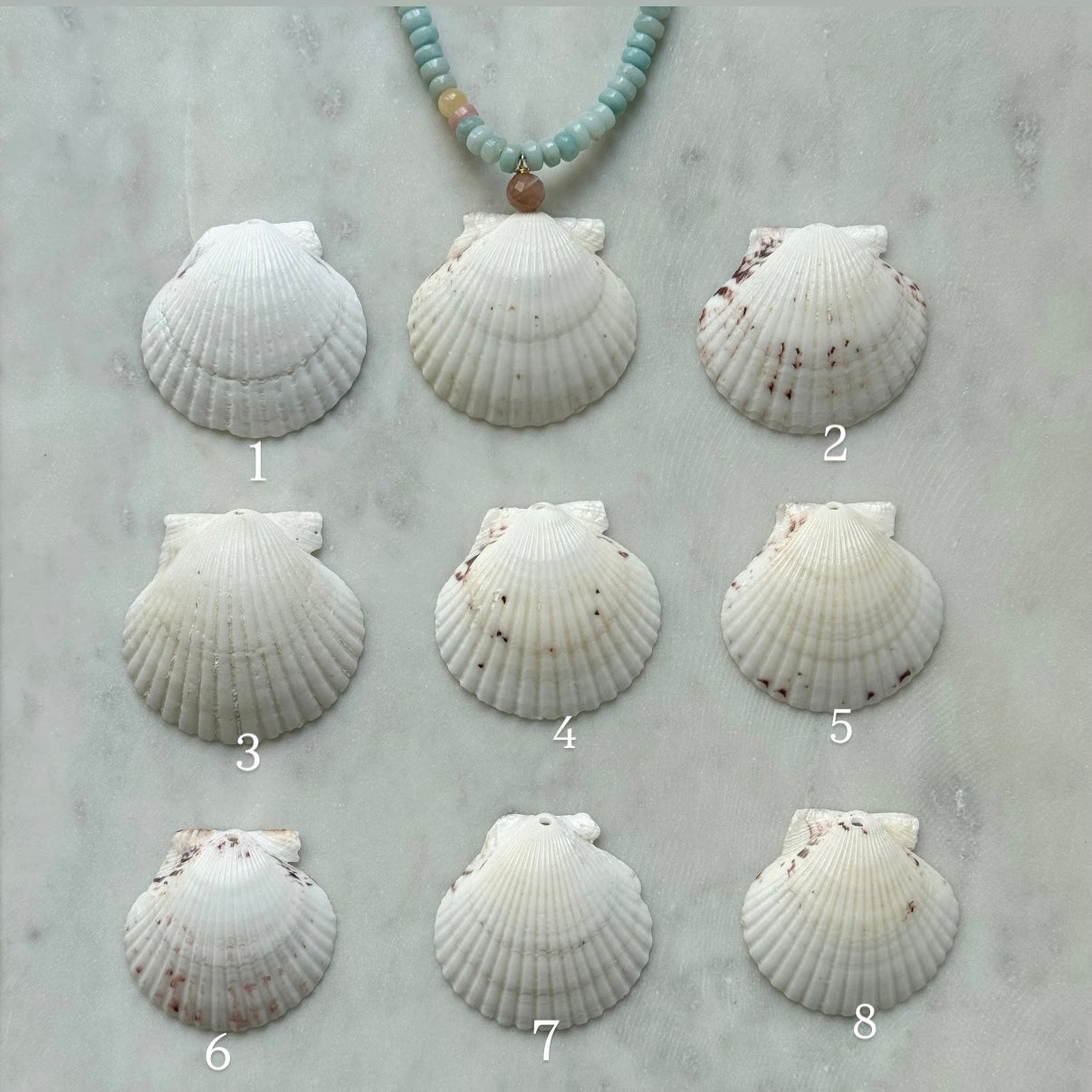 White Scallop Necklace